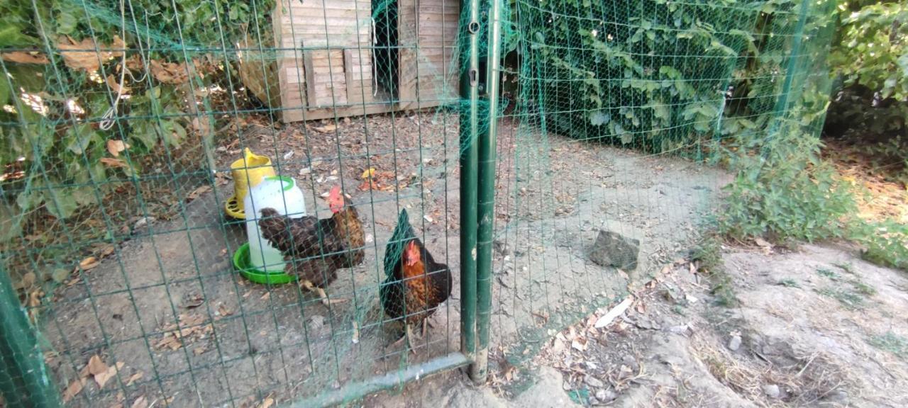 La Demeure Du Figuier Villa Evran Luaran gambar